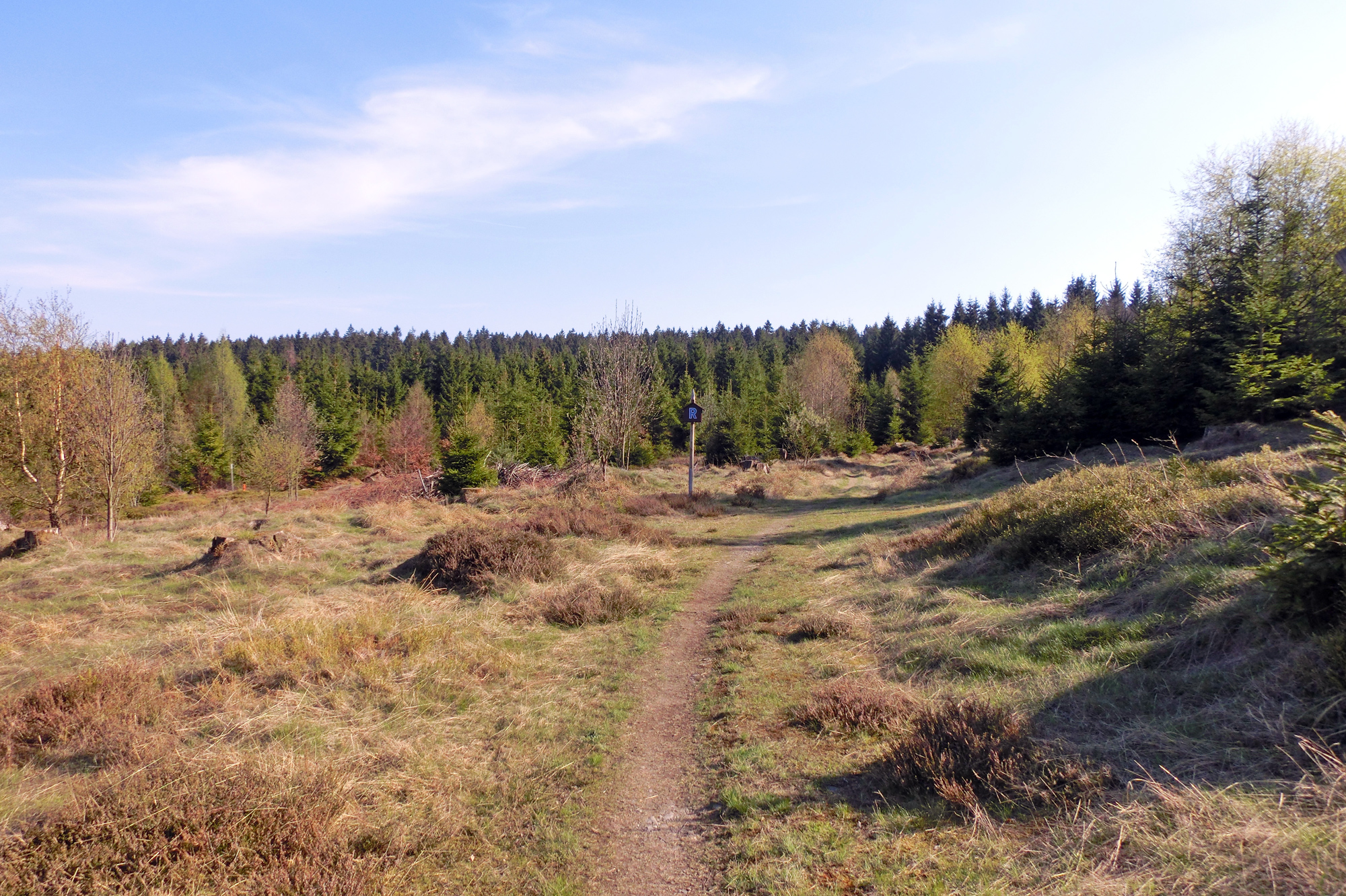 Eine Heidefläche zwischen Spechtsbrunn und Steinbach am Wald © Svenja Walter