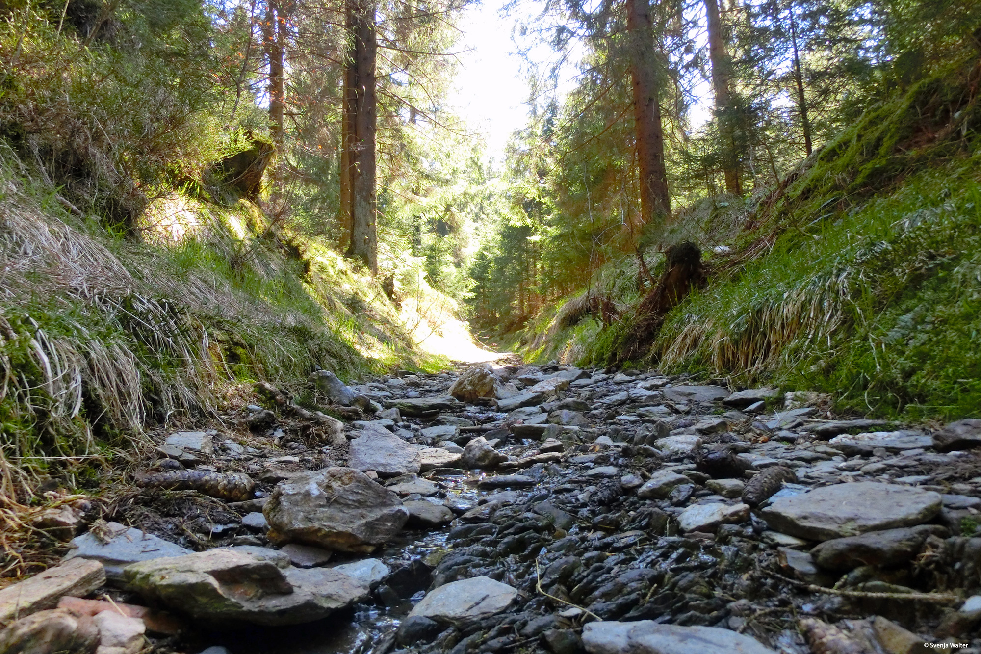 Immer wieder biegen wir auf Hohlwege wie diese ab. © Svenja Walter