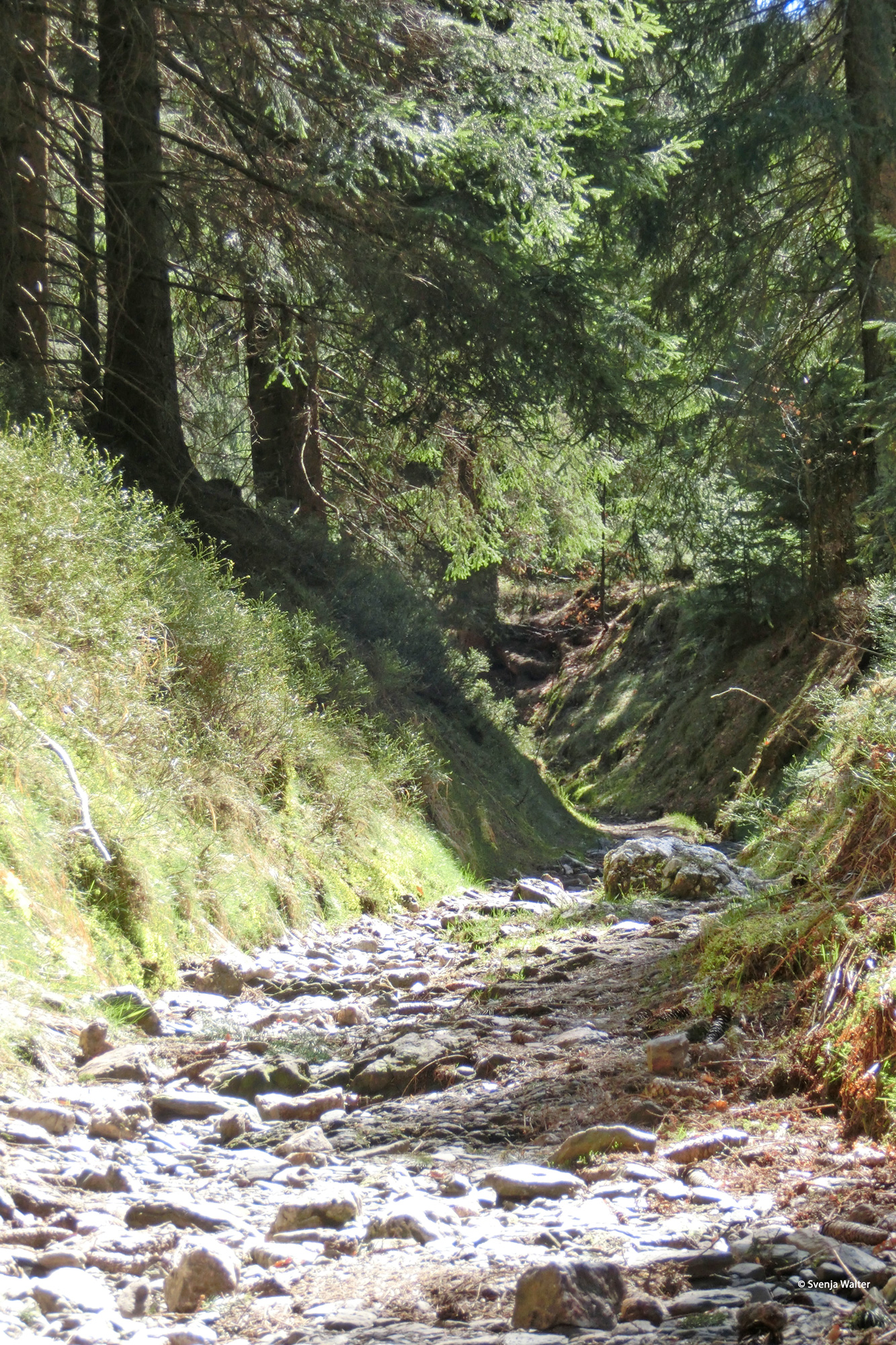 Auf den Hohlwegen macht das Wandern richtig Spaß © Svenja Walter
