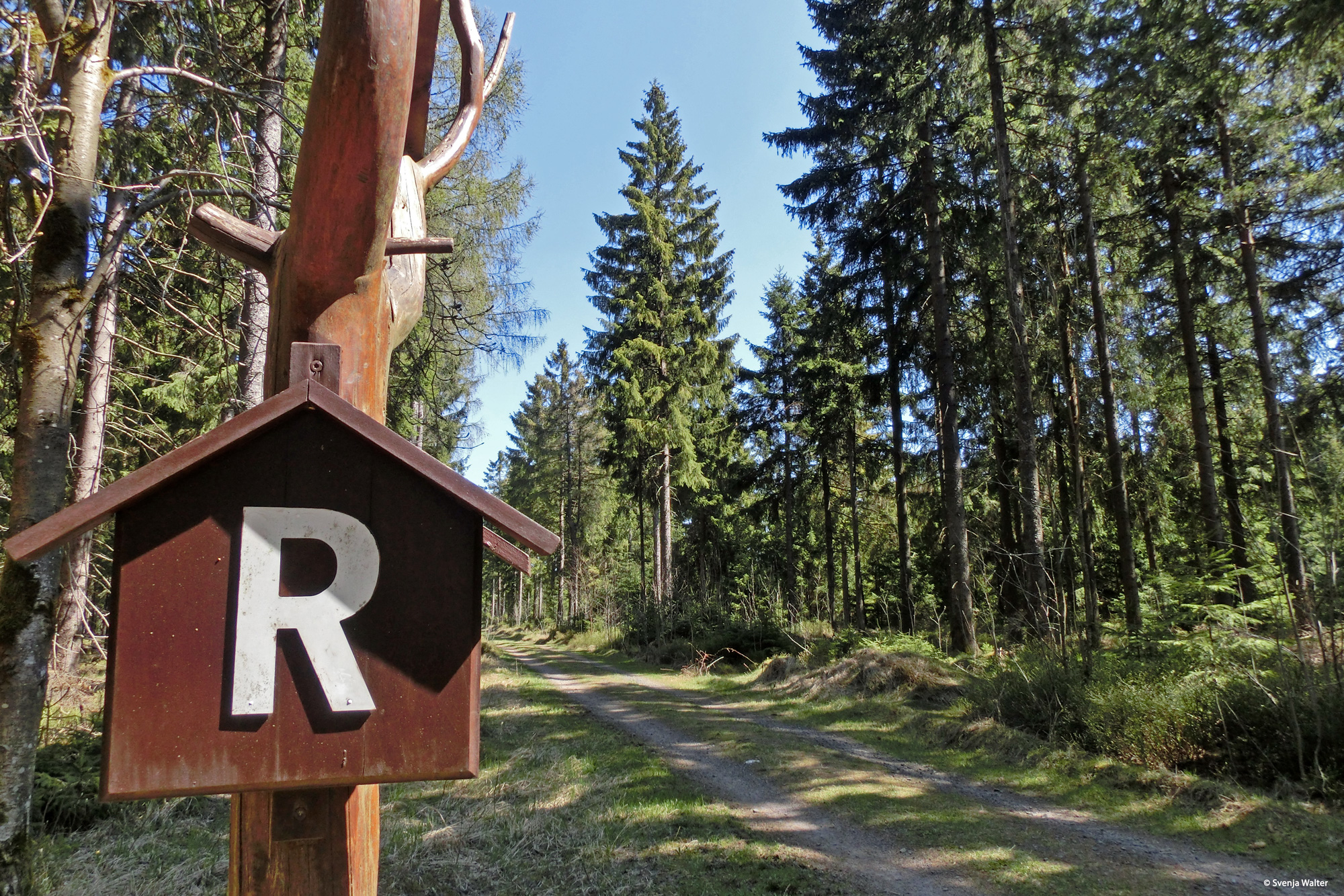 Wegmarkierung auf dem Rennsteig vor Spechtsbrunn © Svenja Walter