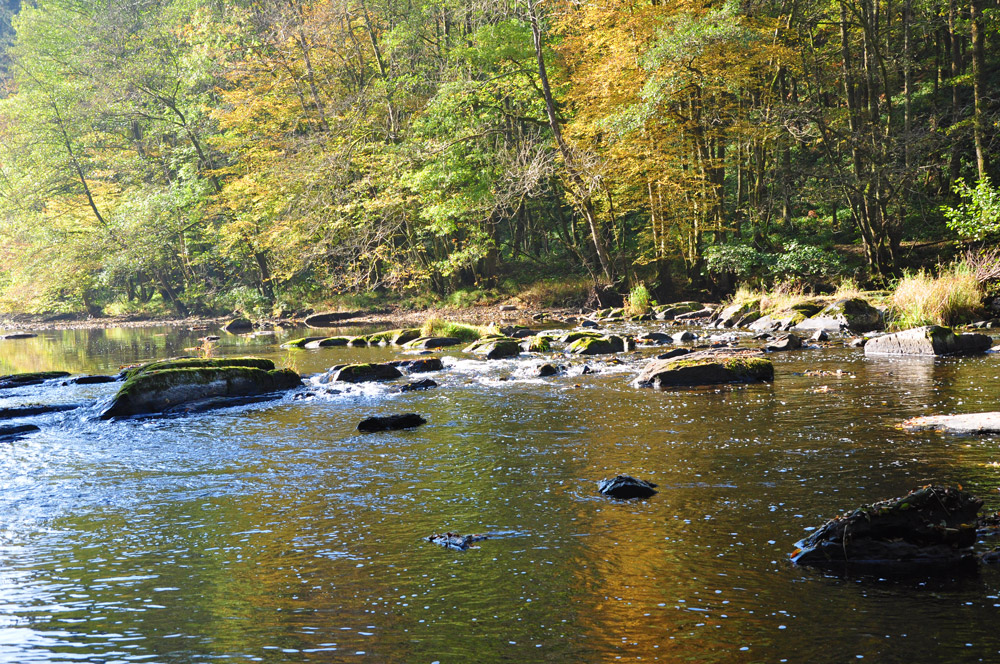 Am Flussufer der Ourthe © Natalie Glatter