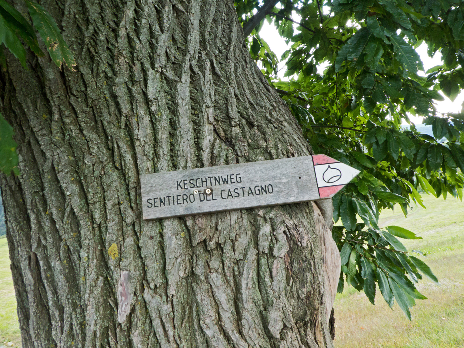 Wegschild-am-Südtiroler-Keschtnweg,-den-wir-immer-wieder-bewandern-bzw.-kreuzen. © AdobeStock