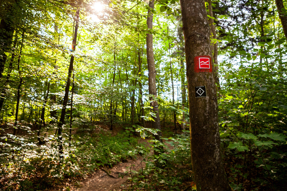 Auf dem Rothaarsteig © Tourismus NRW e.V.