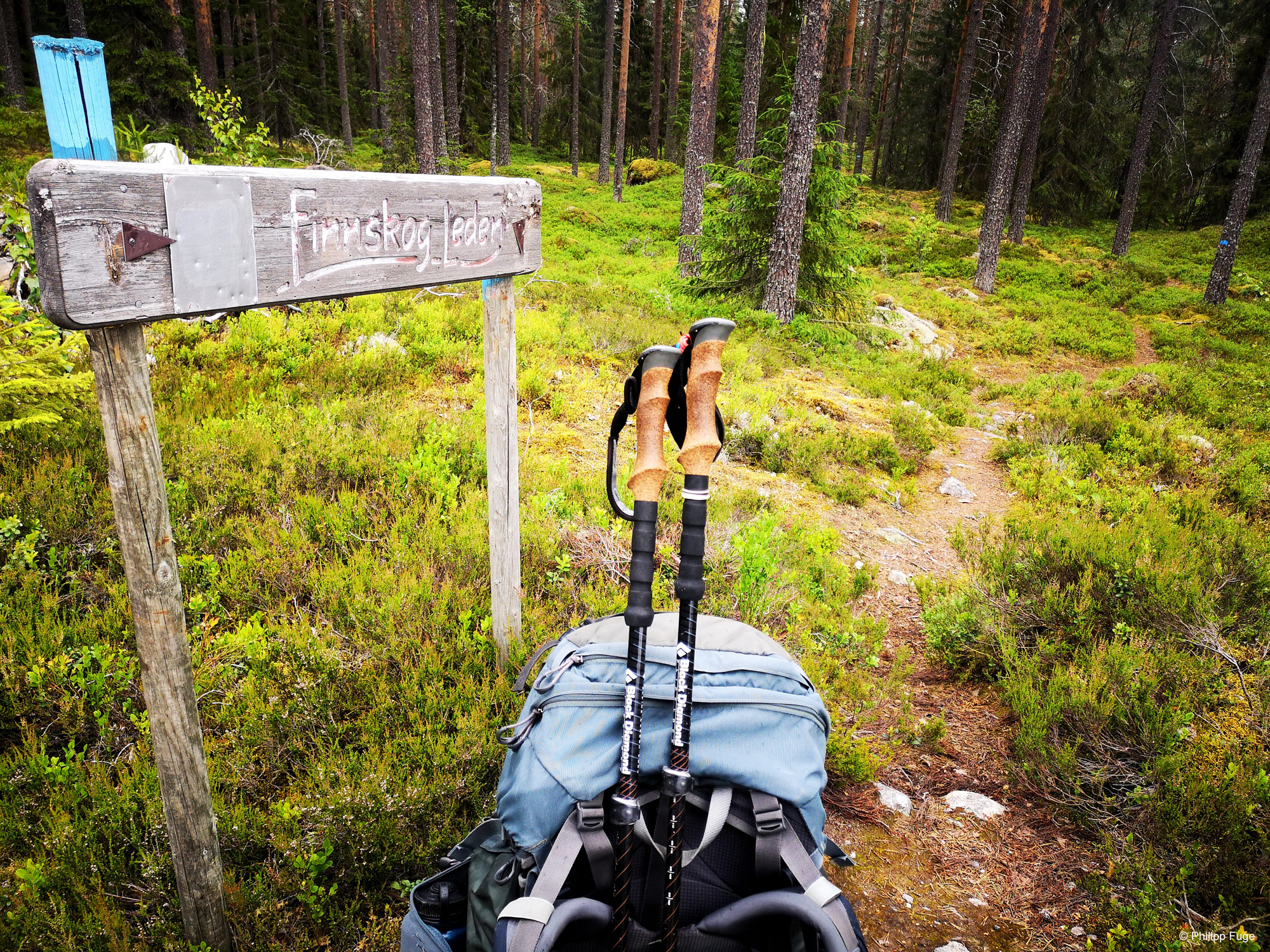 Ein Wanderweg im Grenzgebiet von Schweden und Norwegen