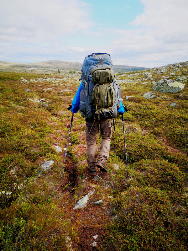 Im schwedischen Fjäll