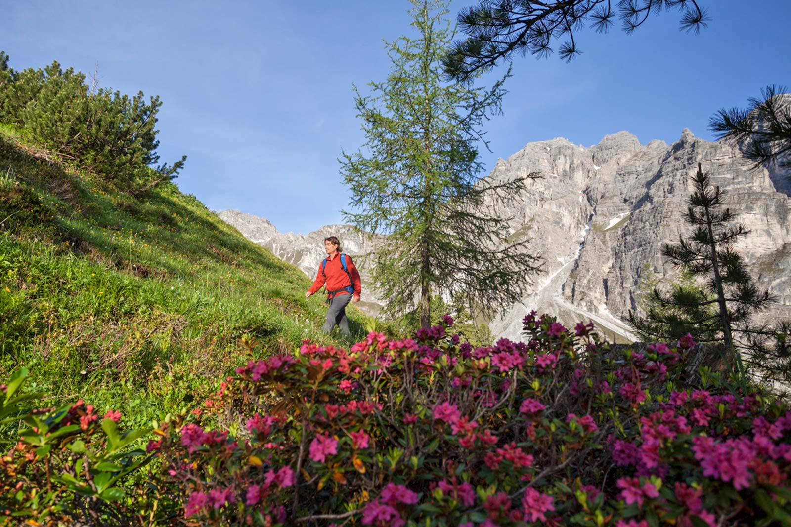 Georg Pawlata, Erfinder der Wanderroute der Alpenjuwelen © Alpenjuwelen