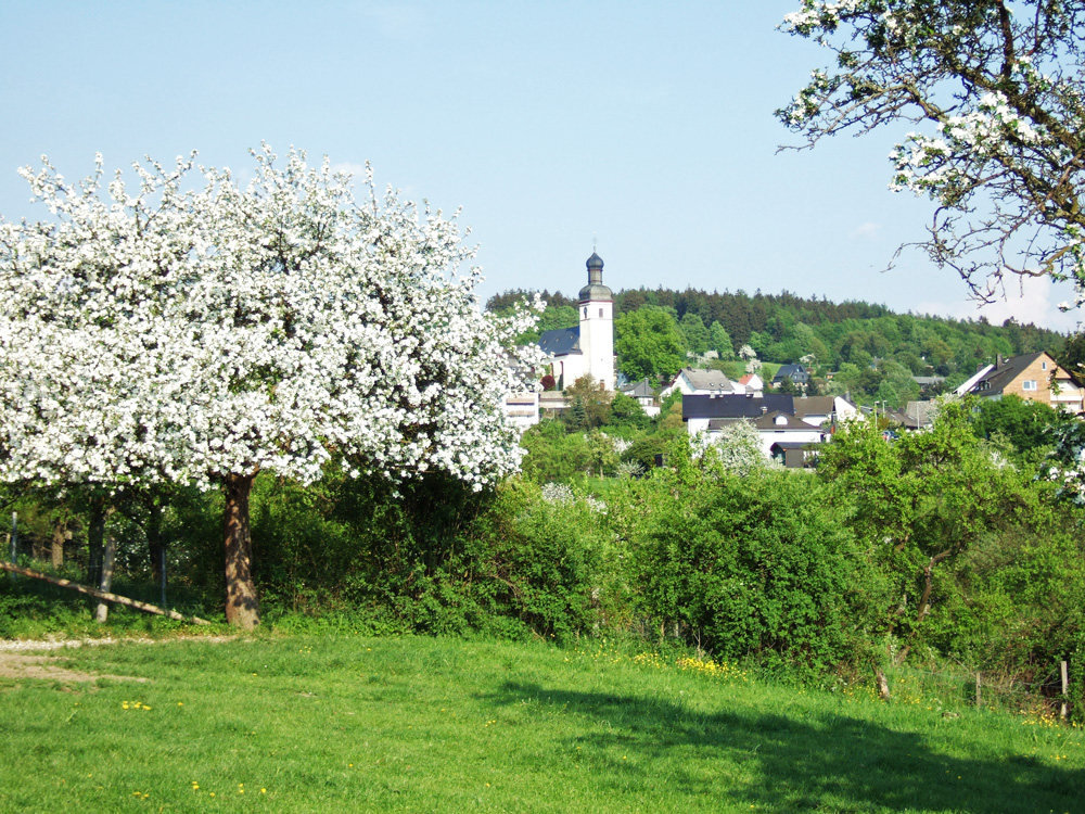 Frühlingsblüte in Haintchen