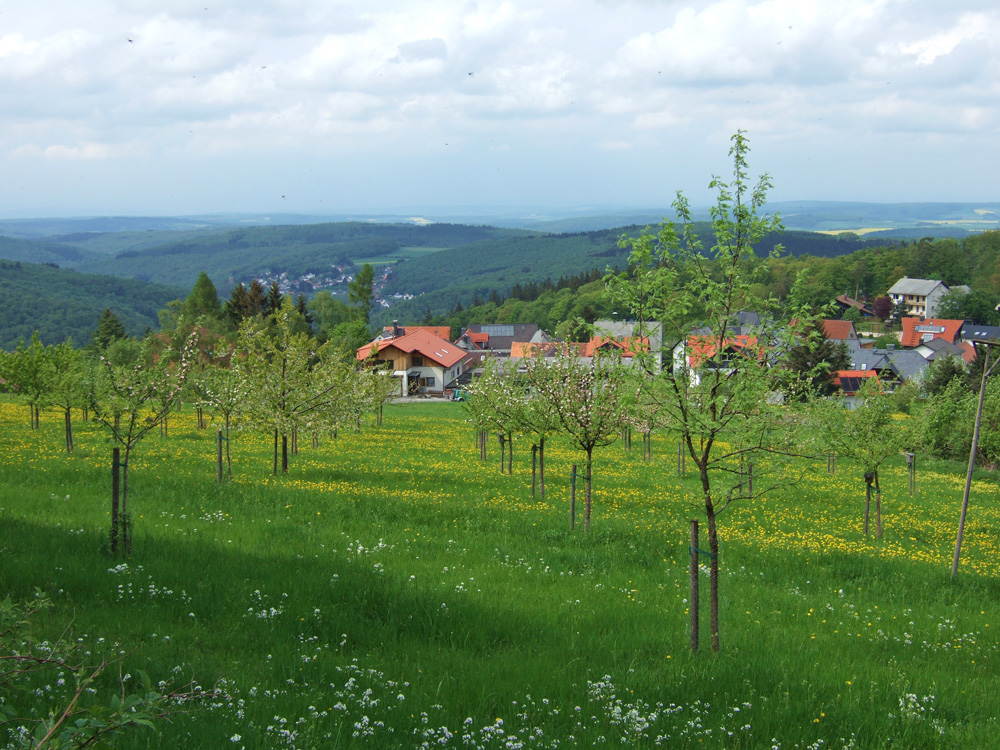 Vorbei an Obstäumen 