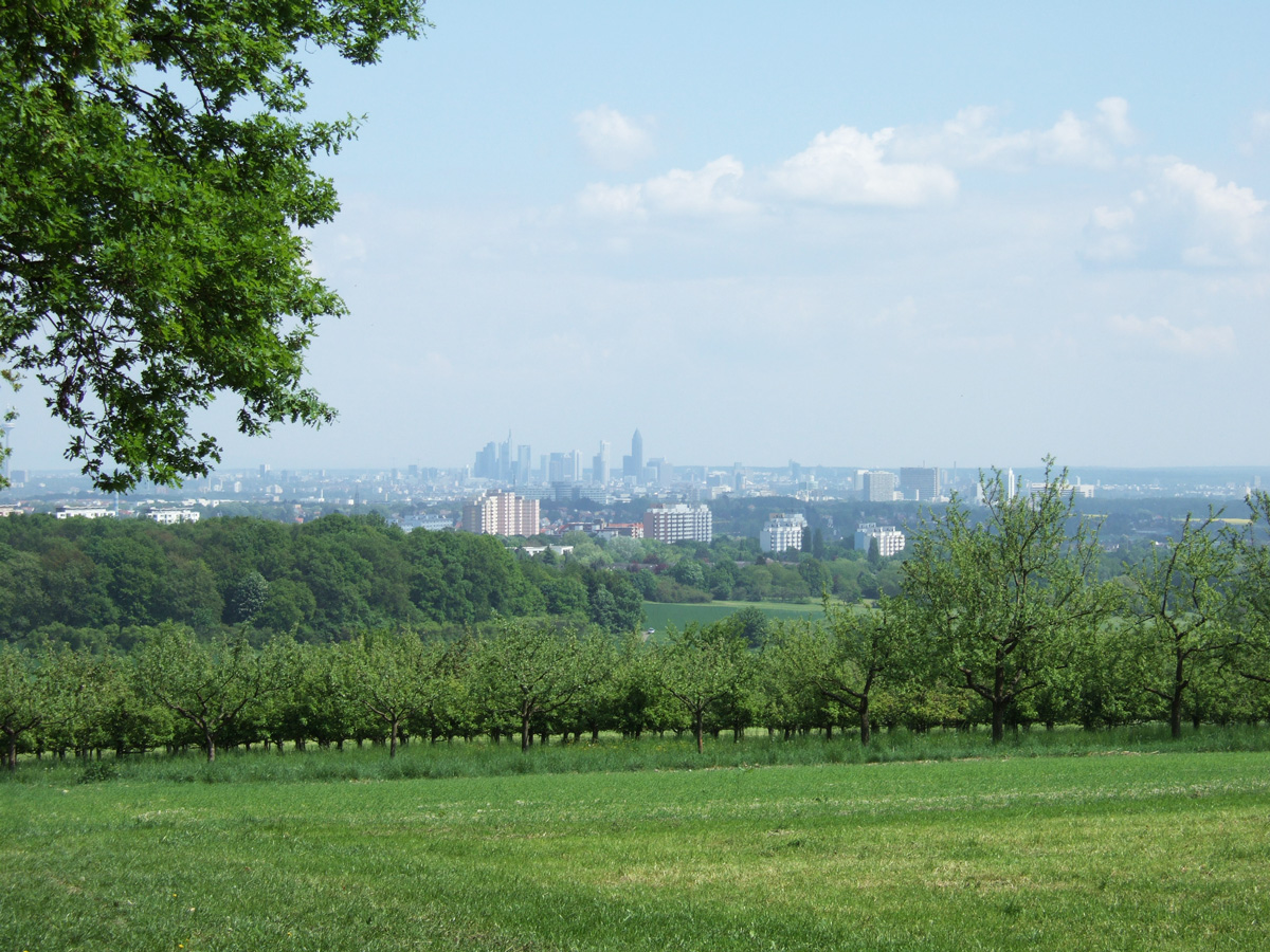 Über das Maintal hinweg sieht man die Skyline von Frankfurt