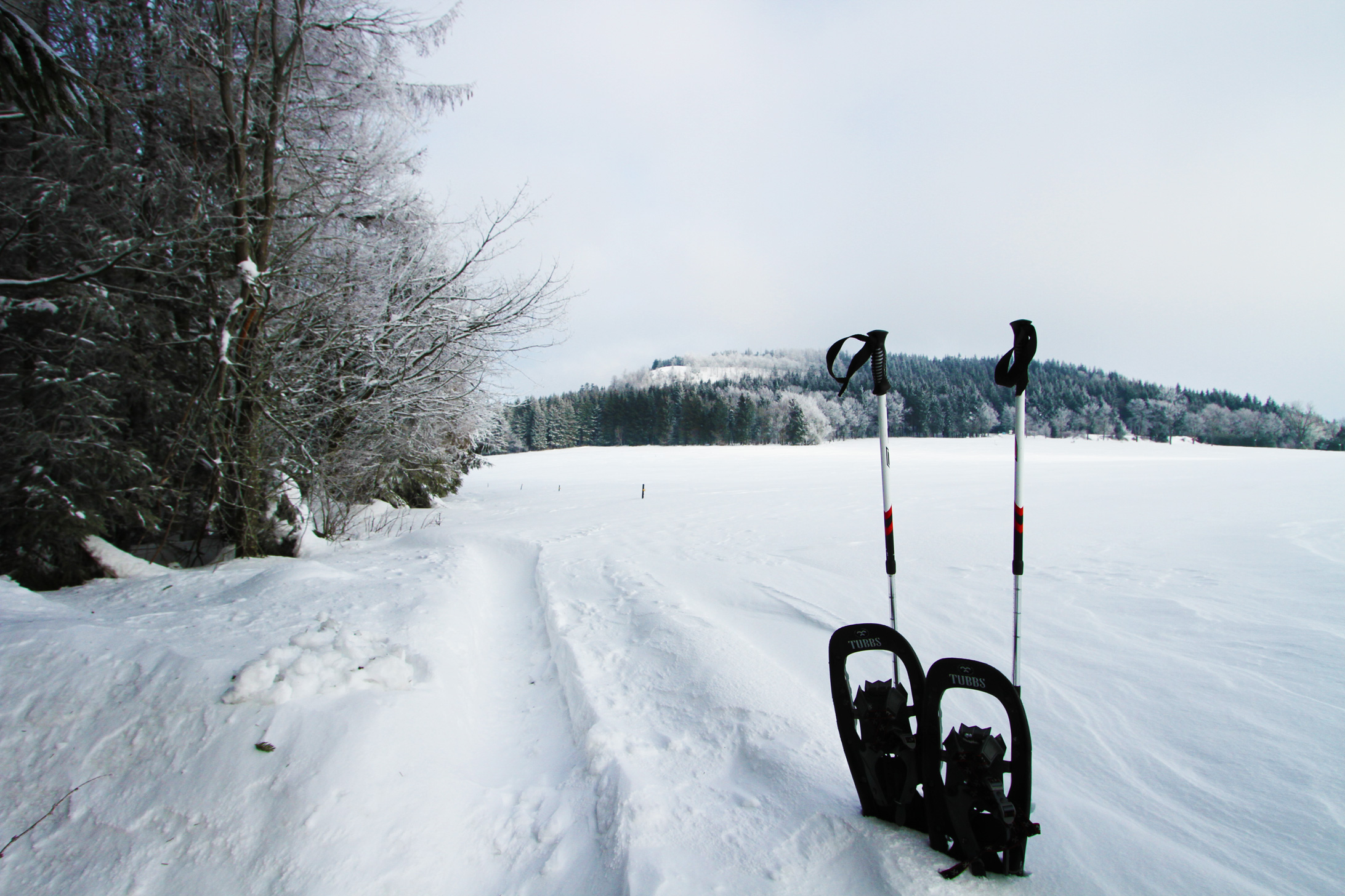 Aufstieg zum Bärenstein mit Schneeschuhen