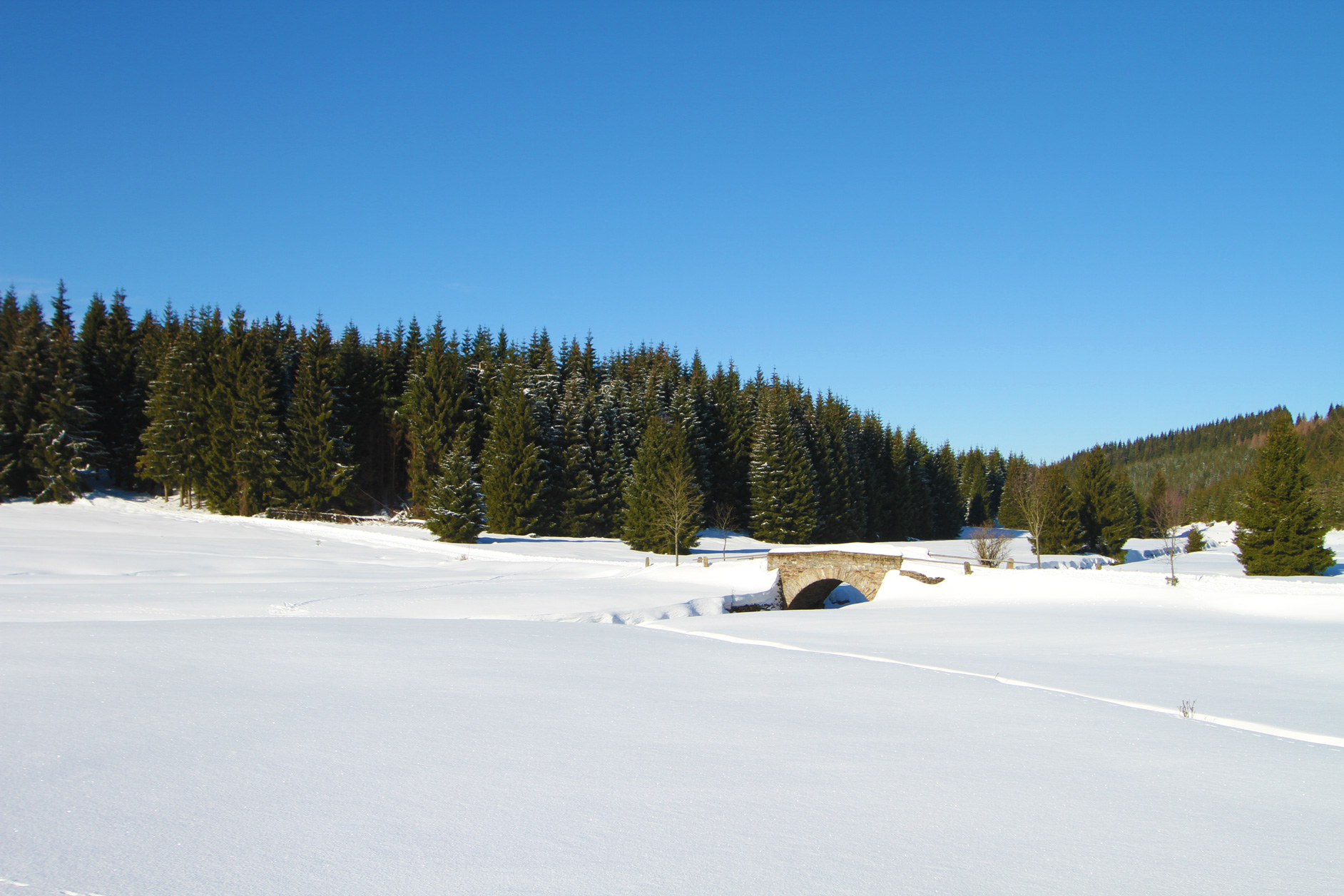 Steinbrücke im Schwarzwassertal