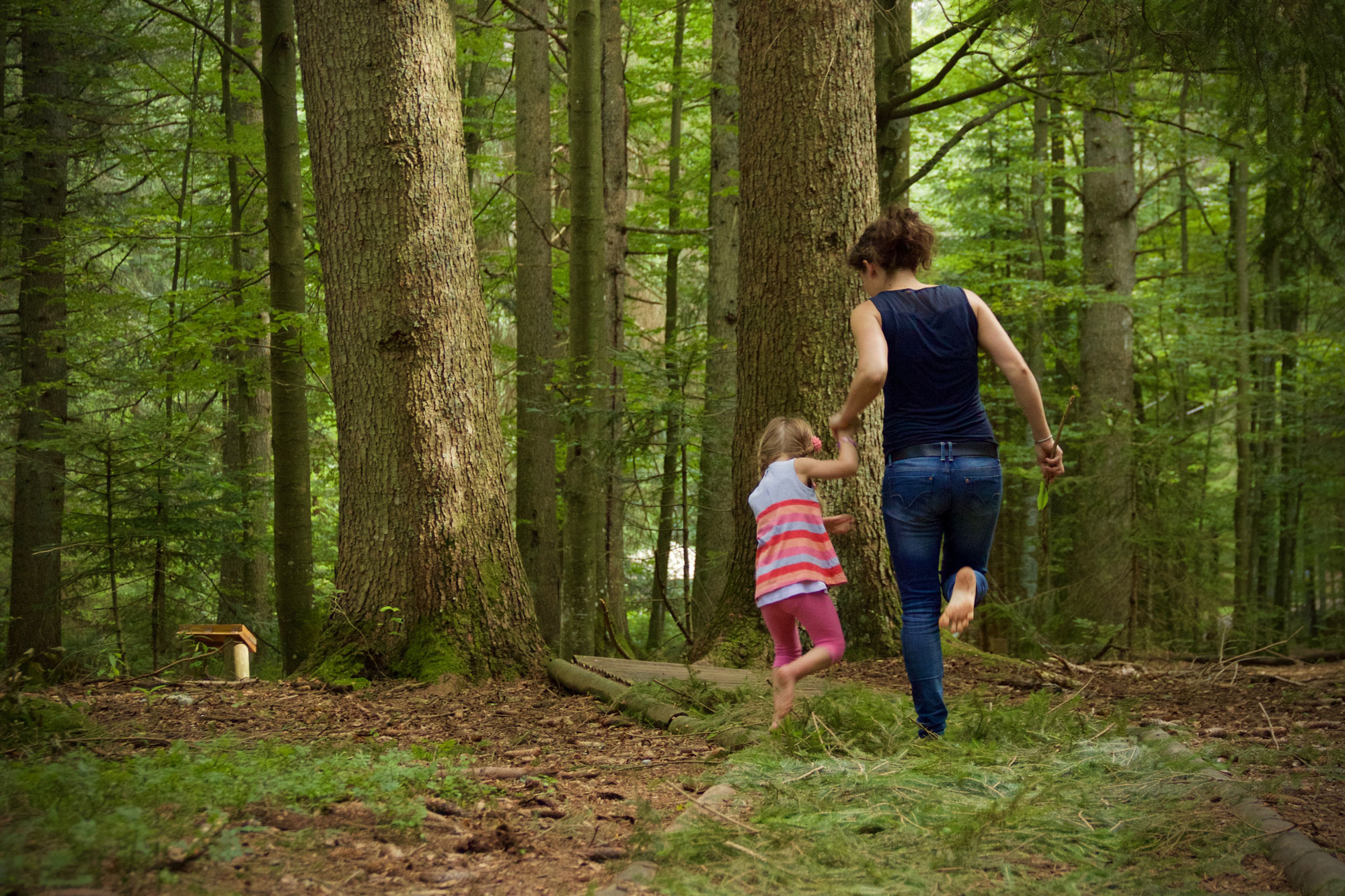 © Nationalpark Bayerischer Wald, Irene Gianordoli