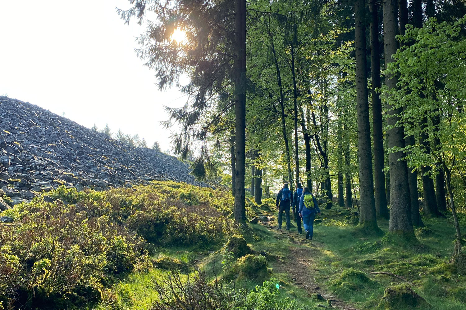 Wegführung neben dem Ringwall bei Nonnweiler © Ricarda Große