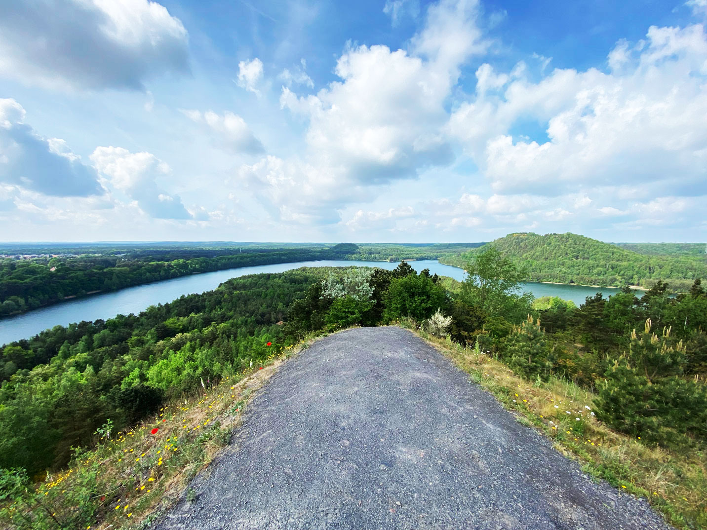 Für viele das schönste Panorama von Flandern im Nationalpark Hoge Kempen Alle Fotos © Svenja Walter