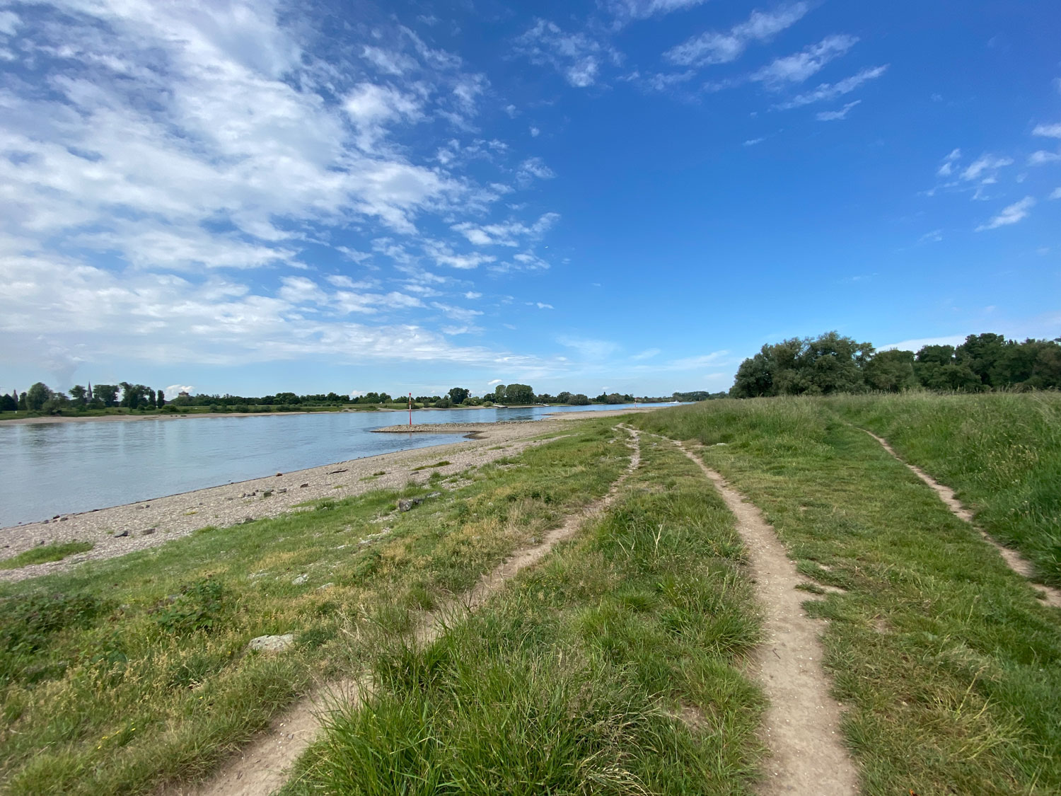 Rheinufer an der Urdenbacher Kämpe