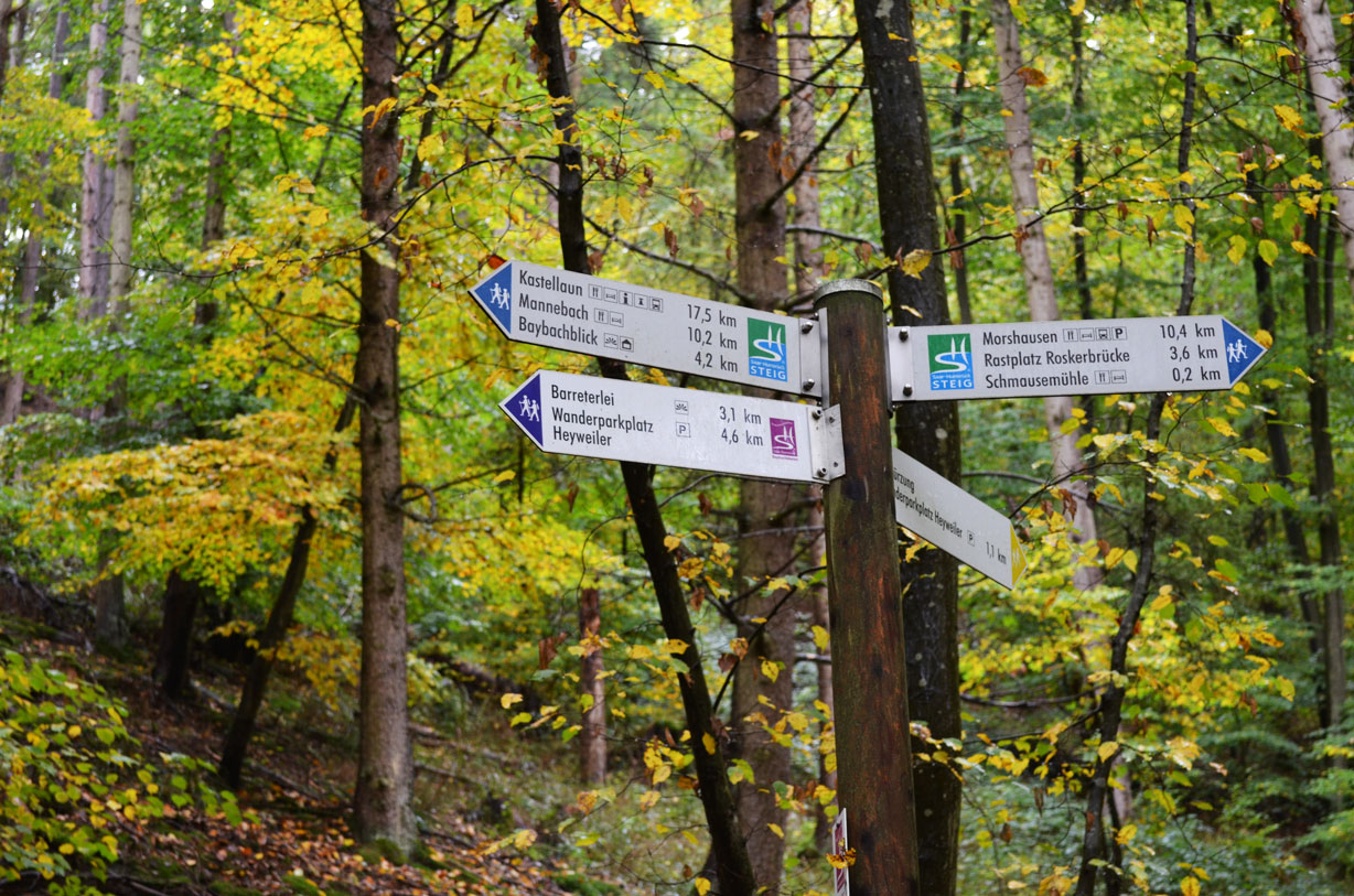 Der Saar-Hunsrück-Steig und auch dei Traumschleifen sind gut ausgeschildert. © Merlin Kiesel