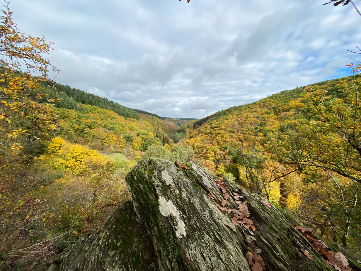 Aussicht auf Ehrbachtal und Schloss Schöneck in der Ferne. © Svenja Walter