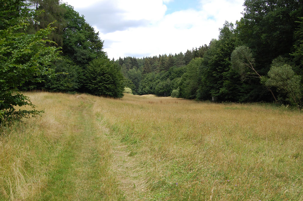 Schöner Wiesenweg 