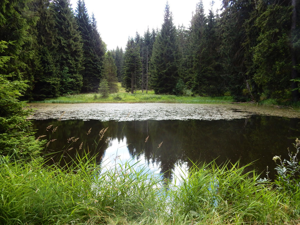 Am Breitengrunder Teich