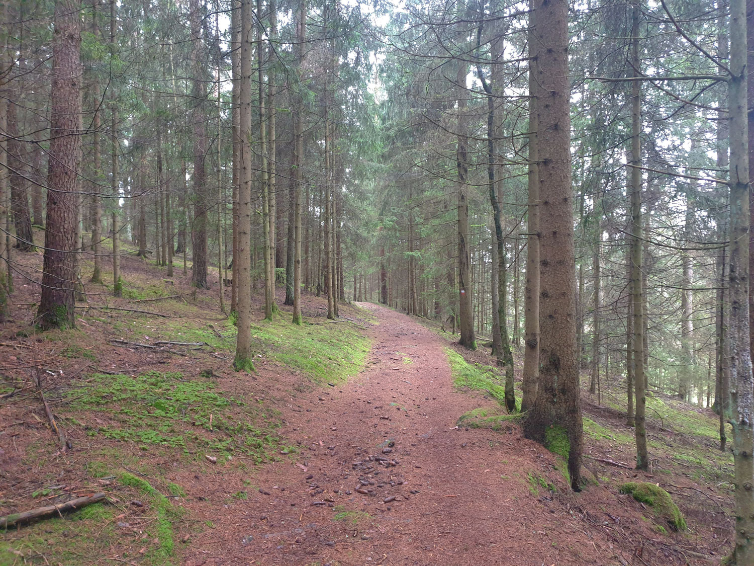 Abwechslungsreiche Pfade führen durch Wald und Wiesen © Anja Pfeffer