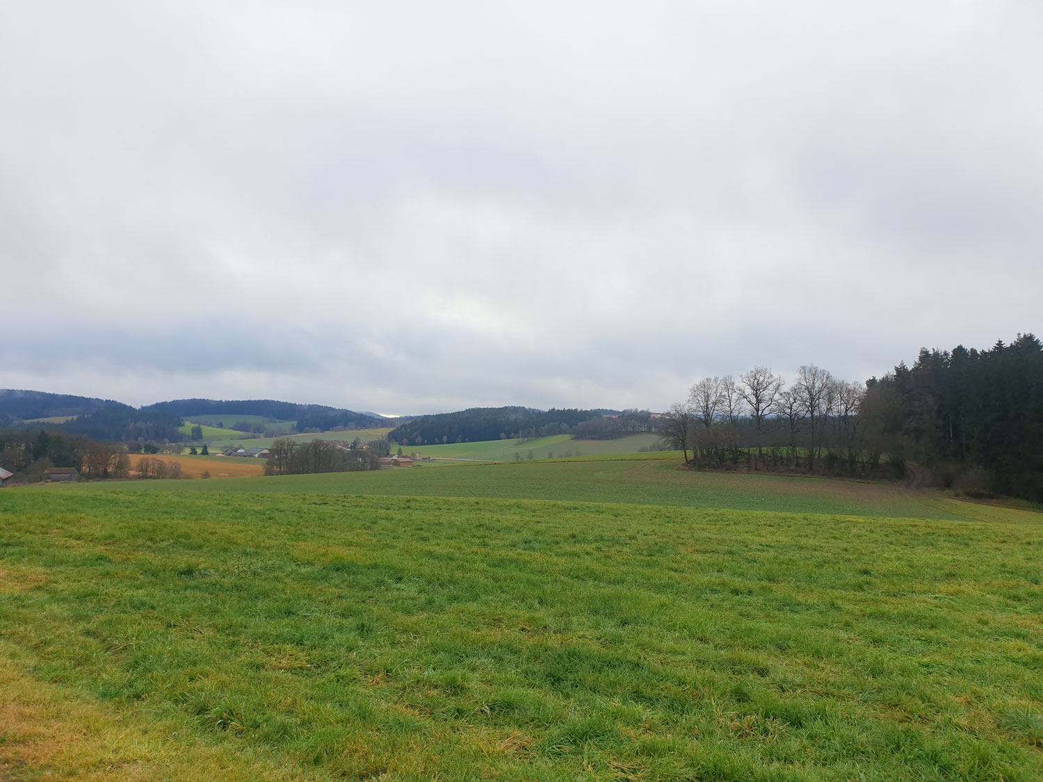Ausblick über Wiesen und Felder nach dem zweiten Weiler auf der Wanderung © Anja Pfeffer