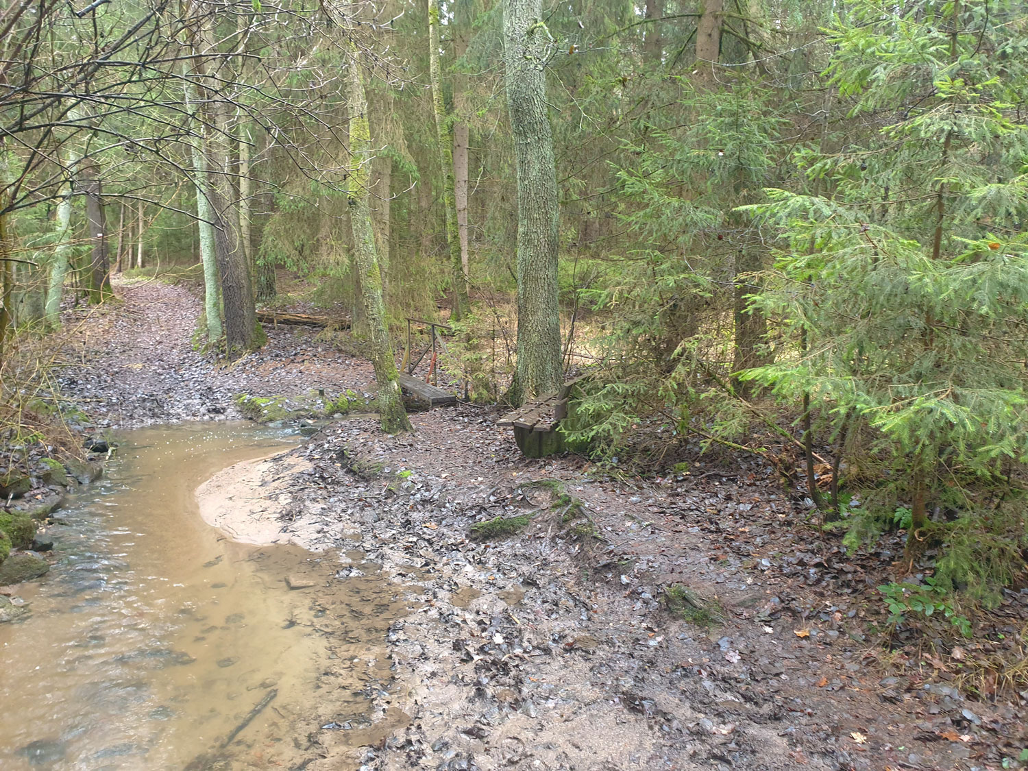 Die Brücke mitten im Wald und eine Bank zum Ausruhen direkt am Bachlauf © Anja Pfeffer