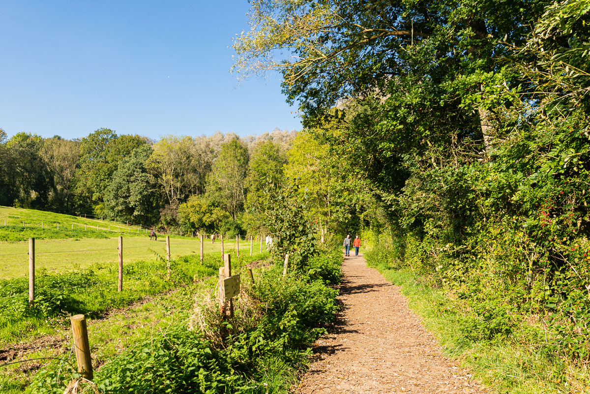 Pferdekoppel neben dem Wanderweg  © Natalie Thill