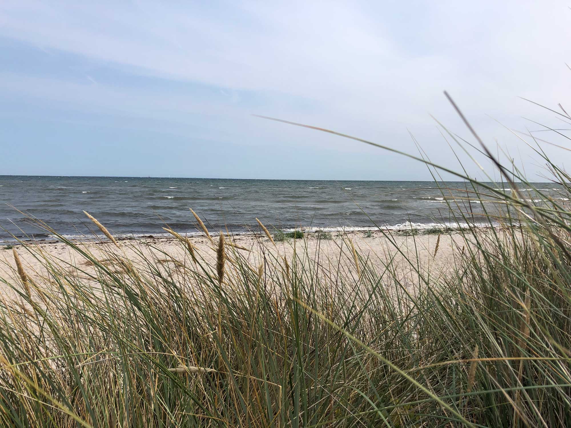Der Ostseestrand bei Maasholm/ Alle Fotos © Jarle Sänger