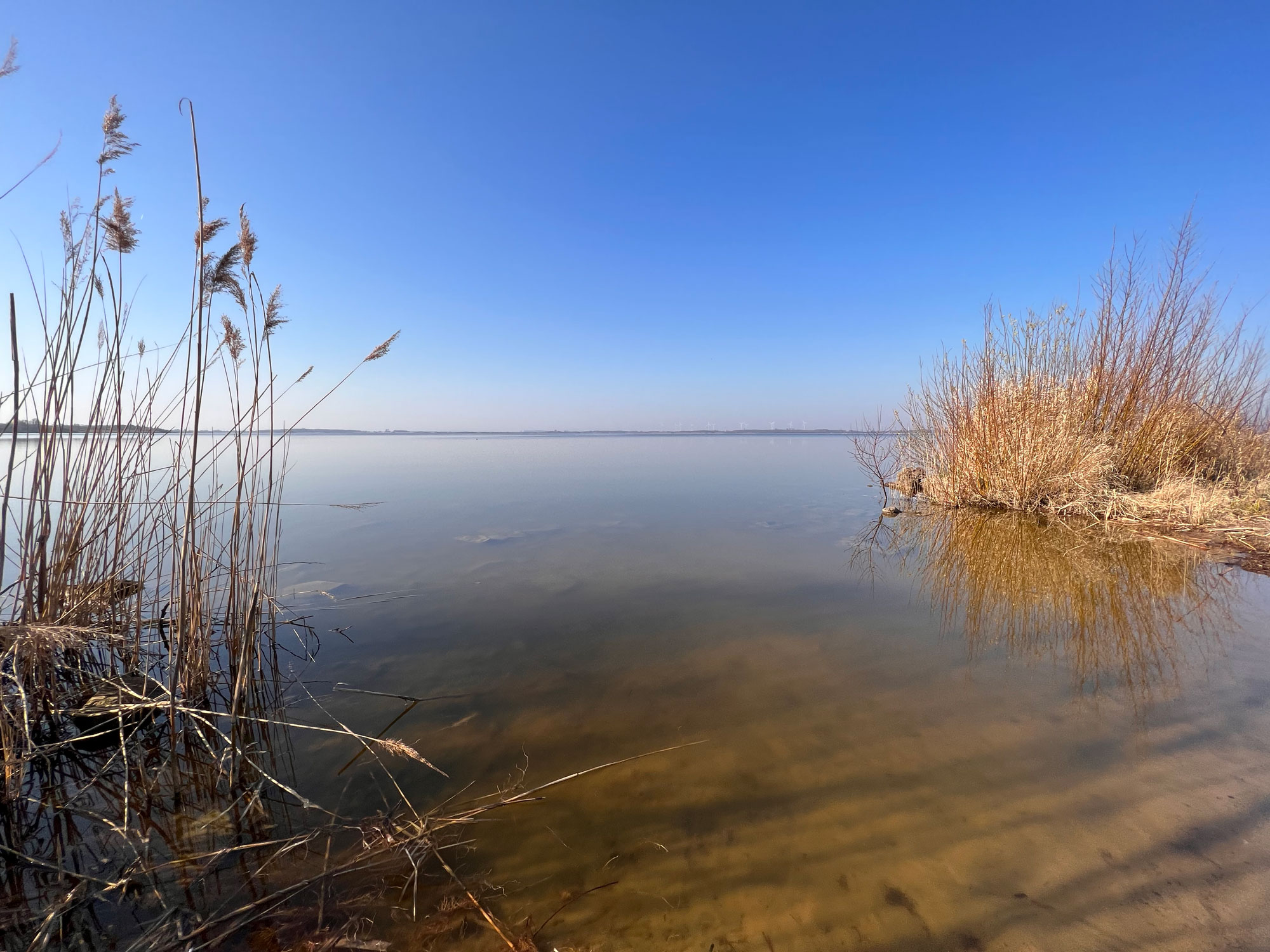 Der Dümmer, ein Hauch von Meer Alle Fotos © Jarle Sänger