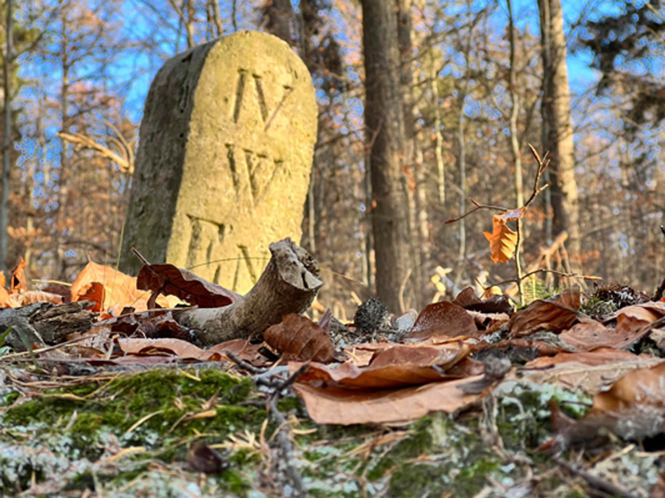 Ein im Wald verborgener Grenzstein am Elm steht symbolisch für die geschichtsträchtige Region Fotos © Jarle Sänger