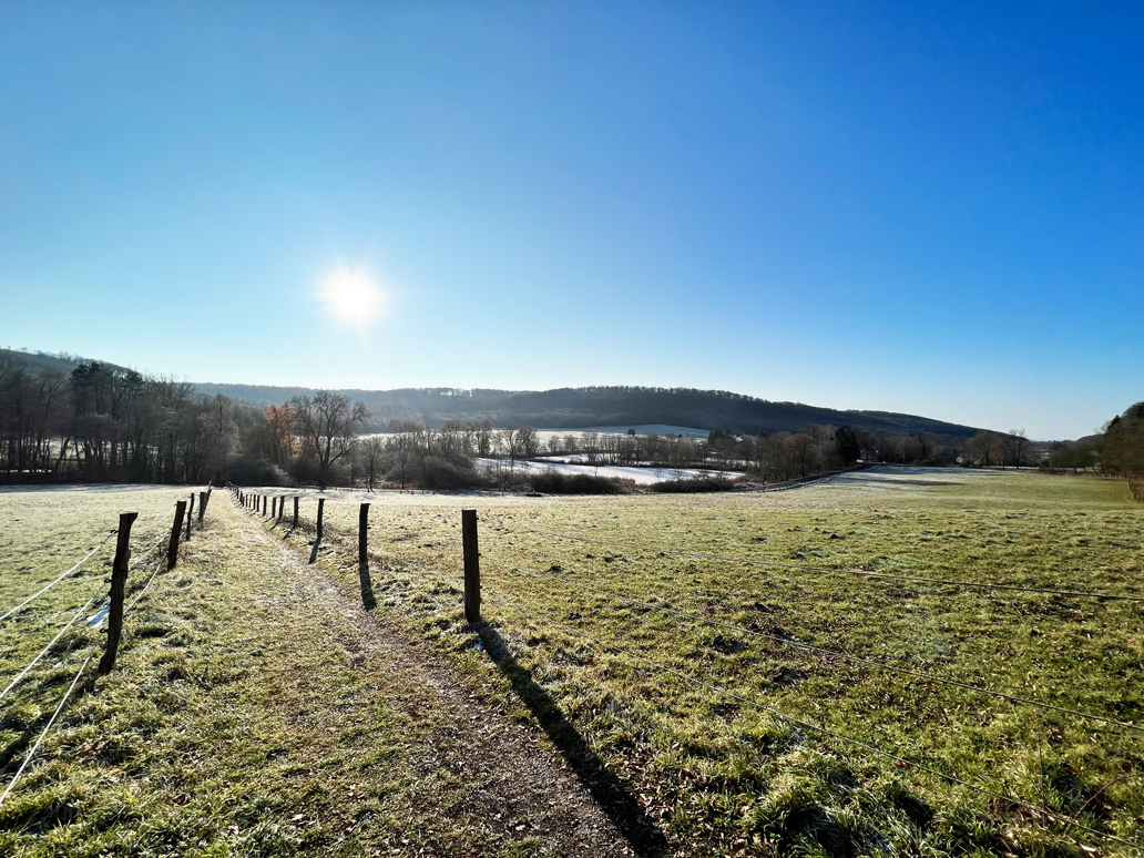 Tiefstehende Sonne an einem frostigen Wintertag