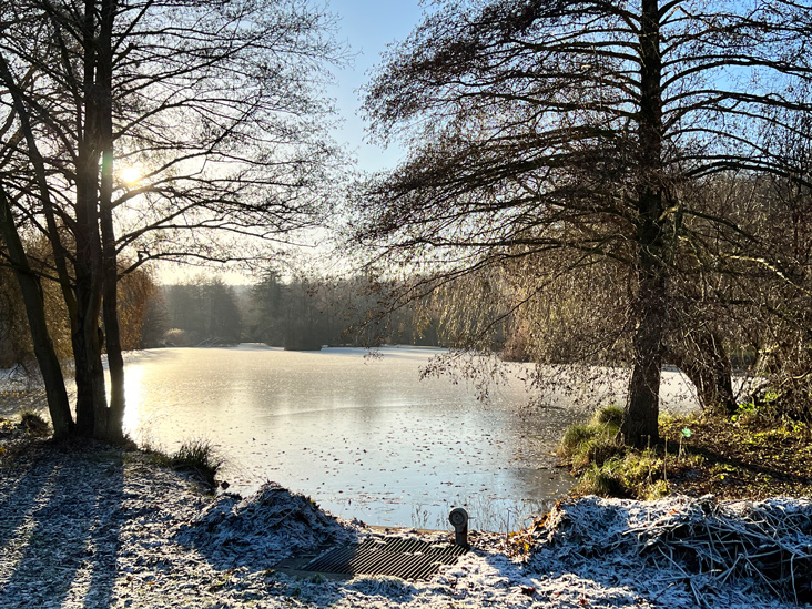 Weiher nahe Königslutter © Jarle Sänger