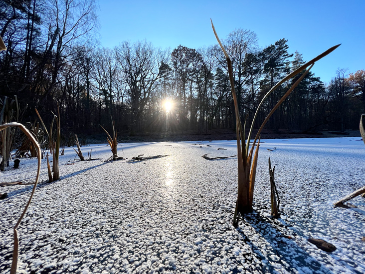 Birkerteich © Jarle Sänger