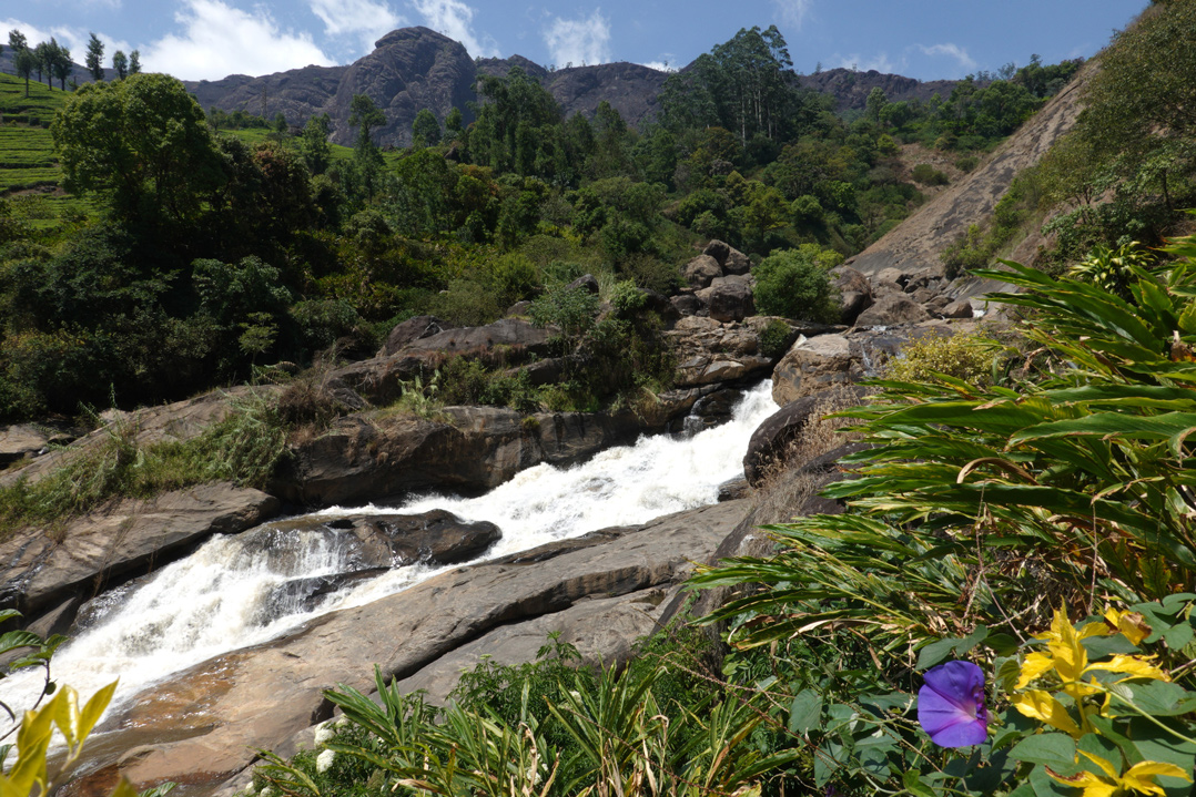 Fluss Mudirapuzha © Manfred Probst