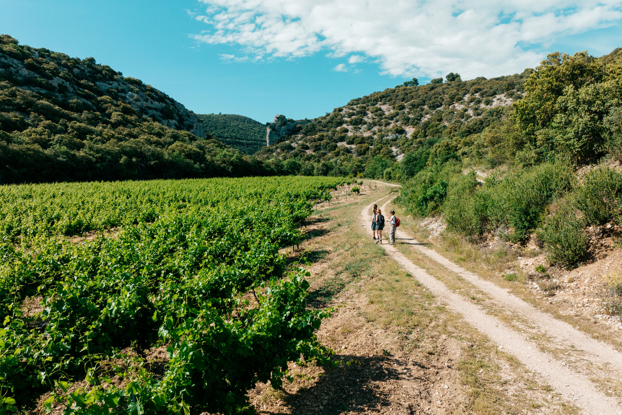Wandern im Luberon © O'Brien, Thomas