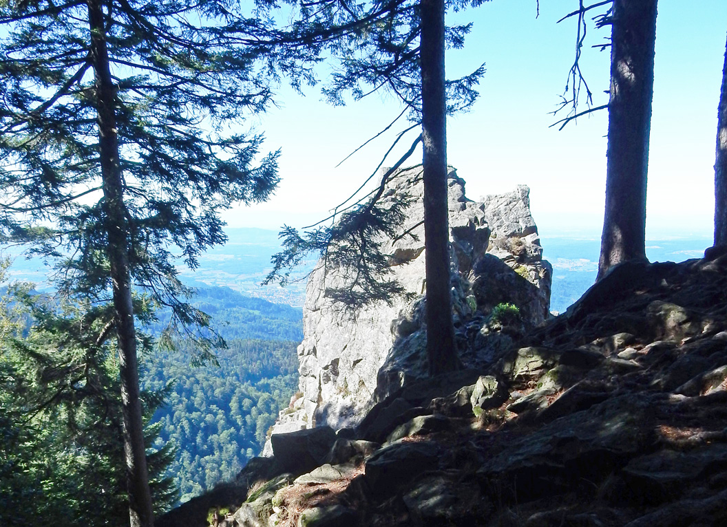 Blick vom Kandelfels nach Waldkirch Alle Fotos: © Konrad Lechner