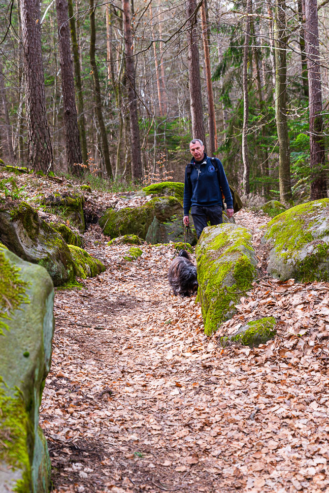 Abwechslungsreicher Wanderweg © Natalie Thill