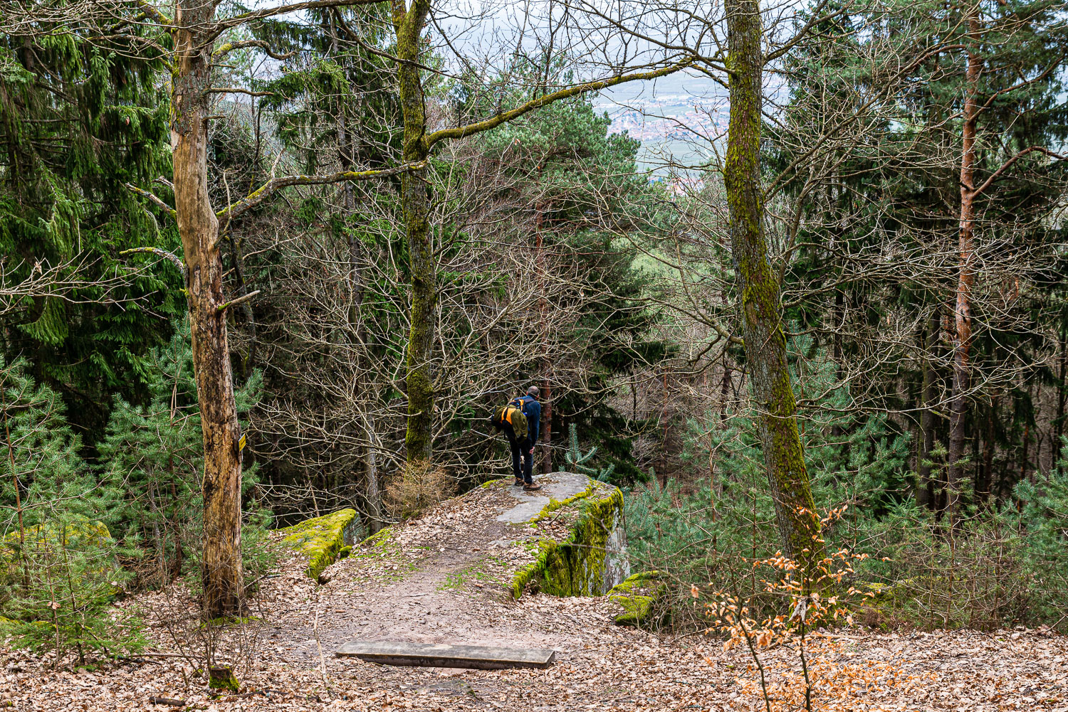 Schornsteinfelsen © Natalie Thill 