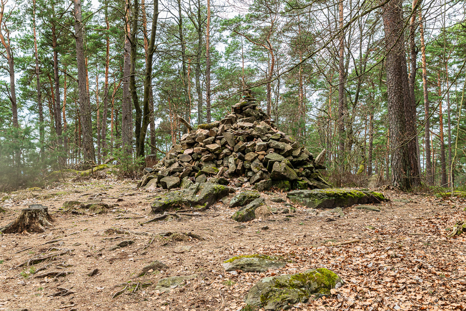 Steinernes Köppel © Natalie Thill