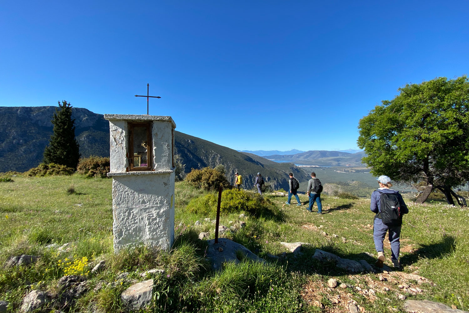 Auf dem Weg von Delphi nach Itea geht es weiterhin bergab durch sonnige Wiesen- und Blumenlandschaft bis zum großen Olivenhain.
