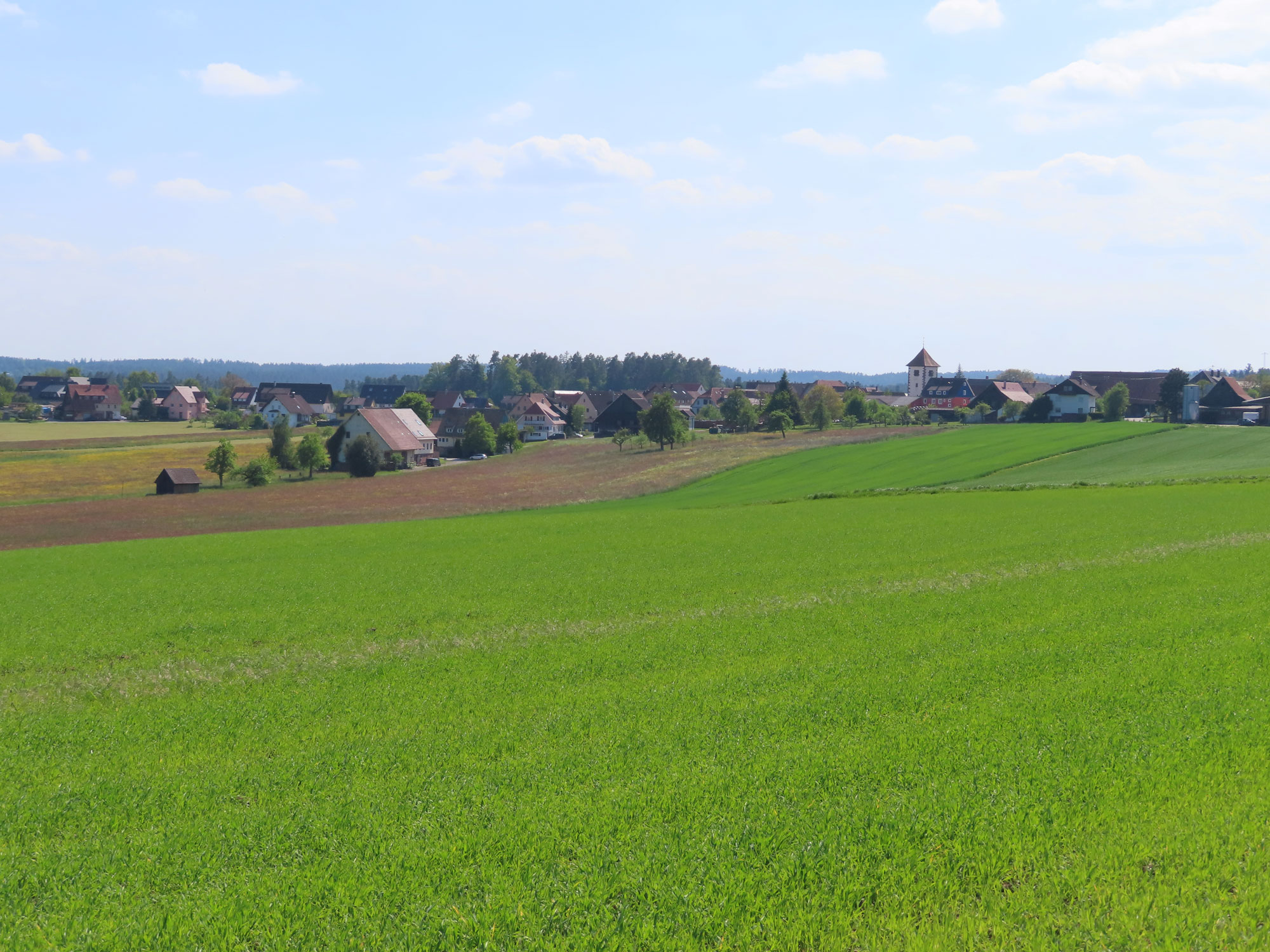 Blick auf Breitenberg © Thomas-Müller