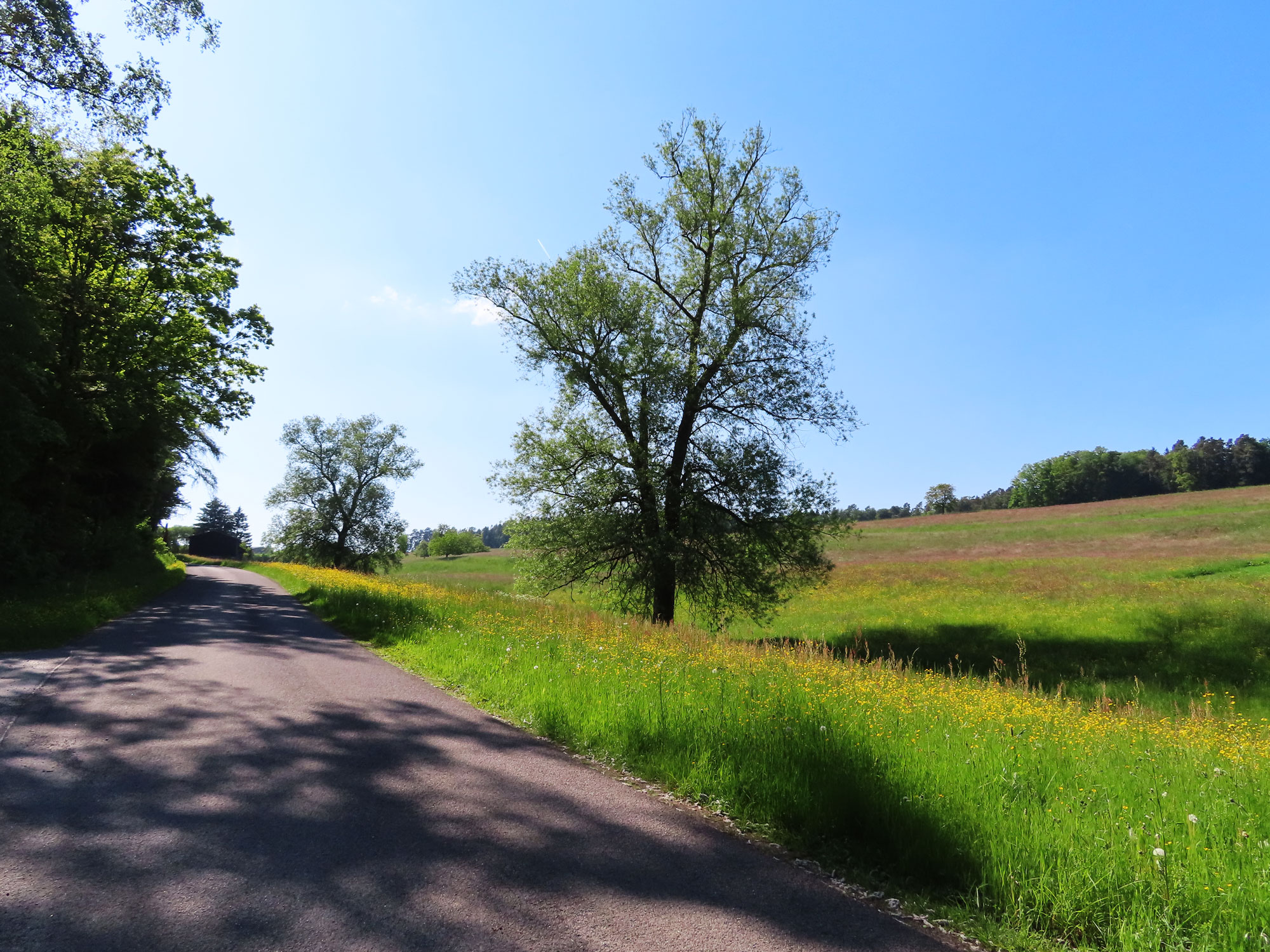 Magerwiesen © Thomas Müller 