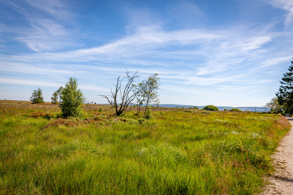 Im Hohen Venn © Maison du Tourisme Spa Hautes Fagnes Ardennes