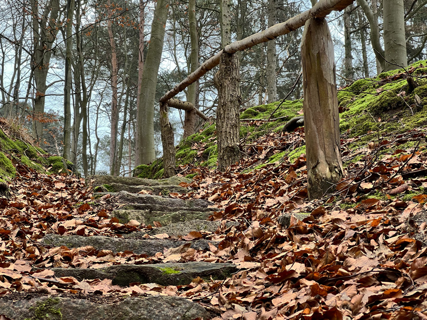 Es geht durchaus mal bergauf im Sternberger Seenland