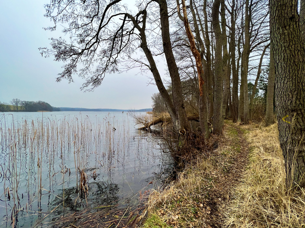 Ungefähr die Hälfte der Strecke verläuft direkt am Seeufer.