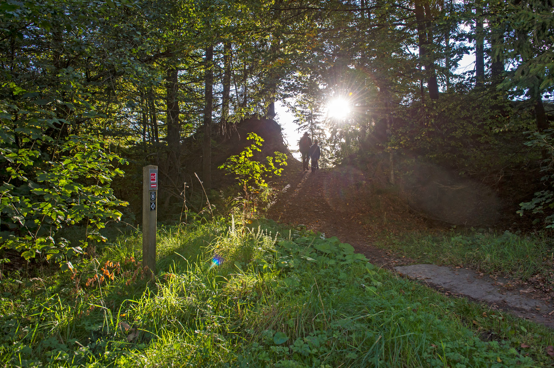 Wandern rund um die Siegquelle © Klaus Peter Kappest, TVSW 