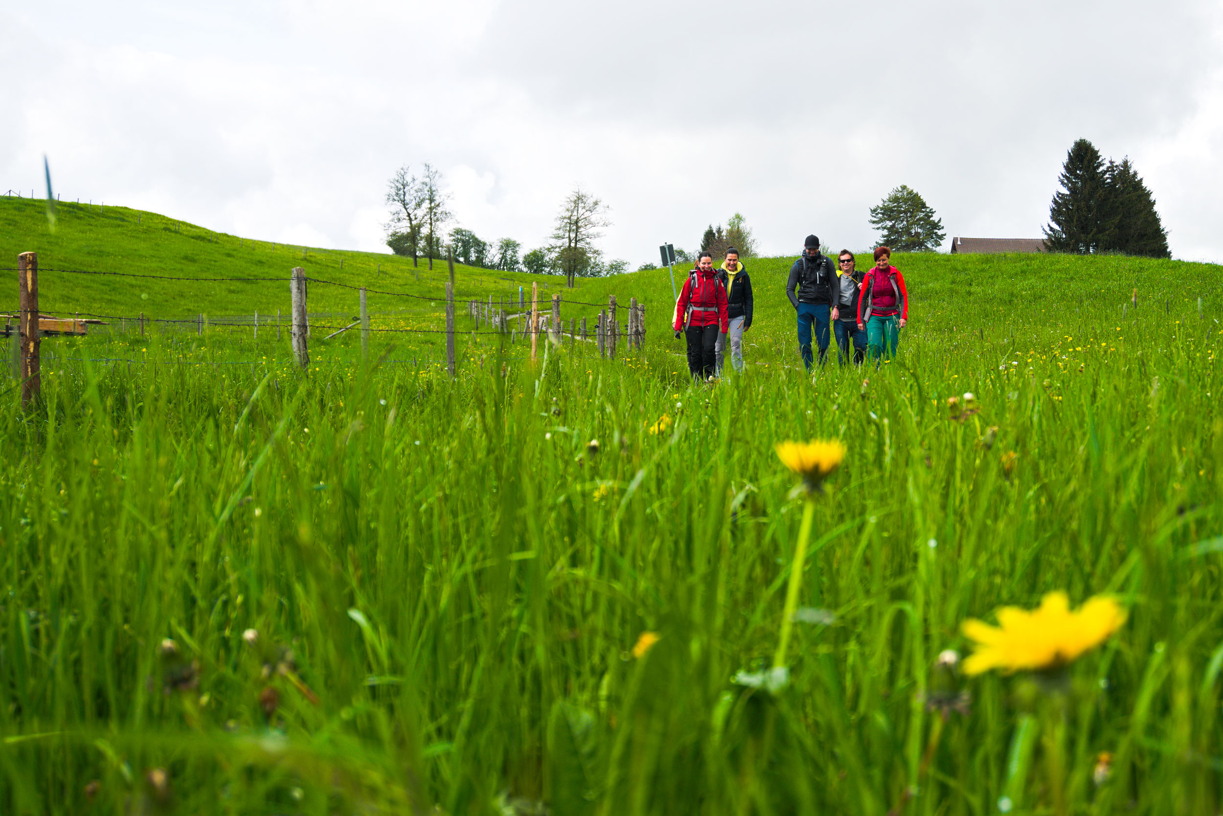 Auf der Wiesengänger-Route, Etappe Kaufbeuren Marktoberdorf im Allgäu © Janna Kamphof