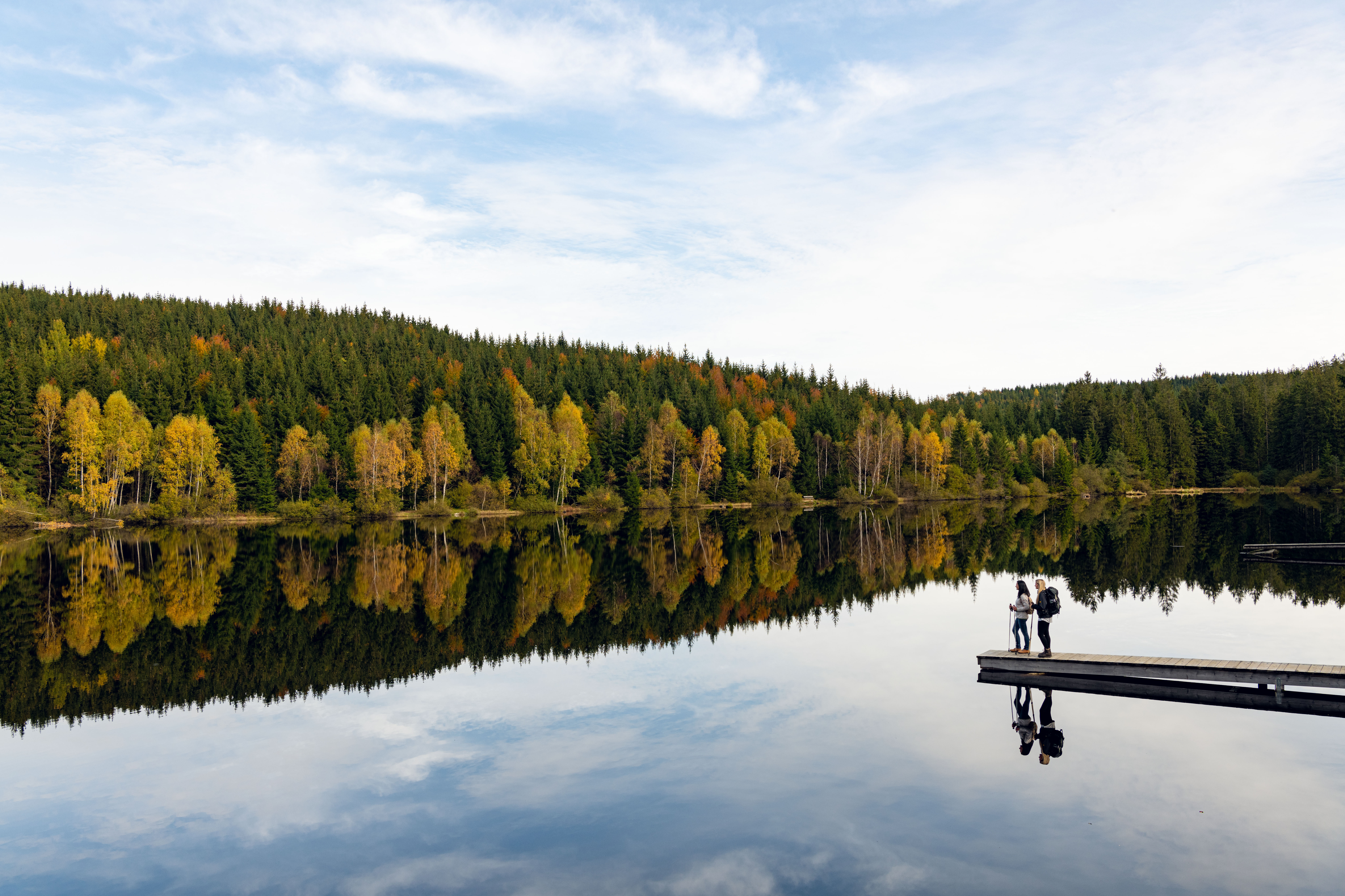 Schlesinger Teich im Südlichen Waldviertel © Lebensweg, Studio Kerschbaum