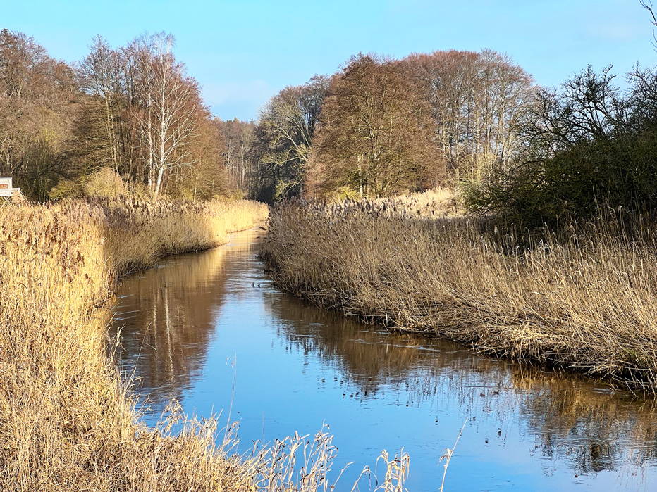 Blick auf die Warnow 