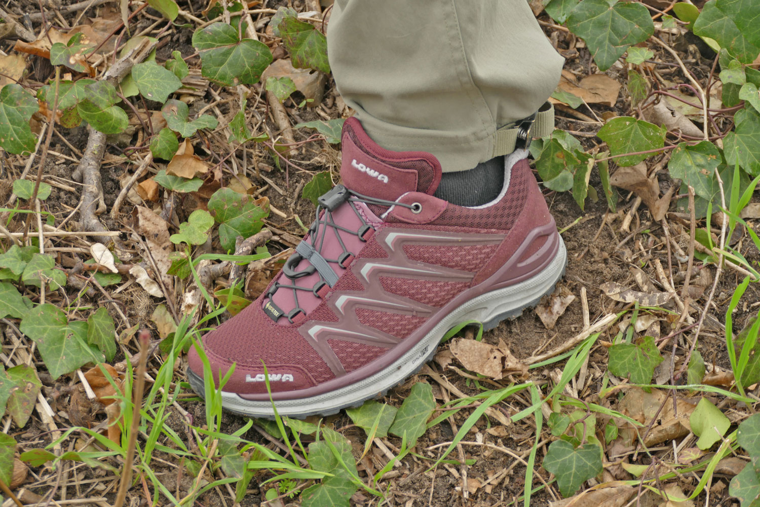 LOWA Maddox GTX Lo